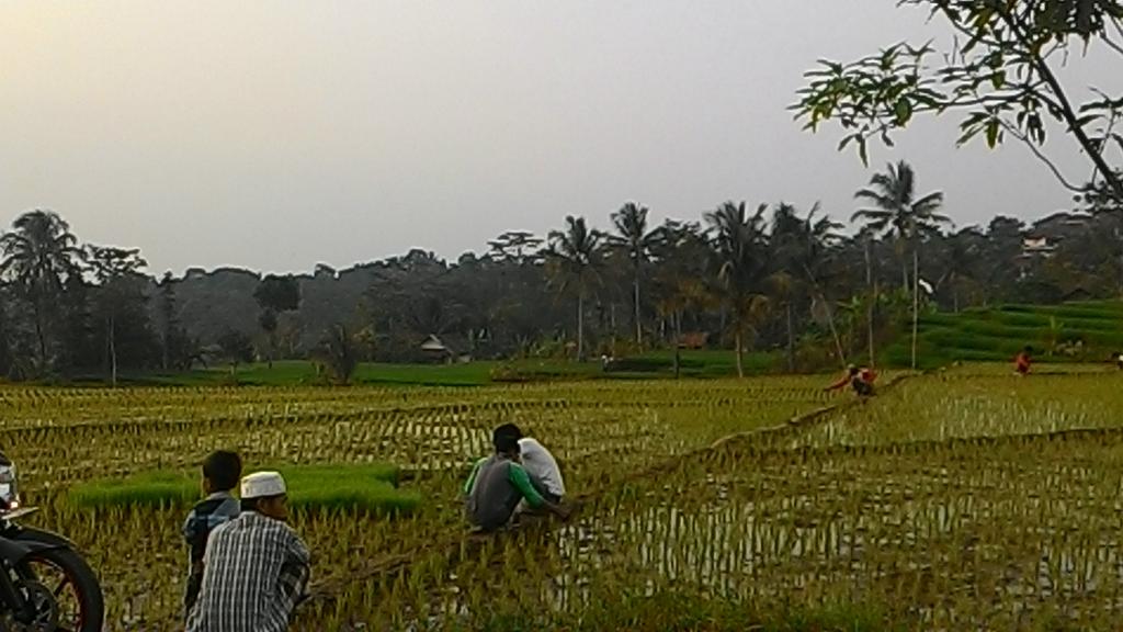 Terlihat kegiatan Sebagian warga menunggu brbuka puasa (ngaboeboerit) smbil mancing belut. Salah satu hal yang posit