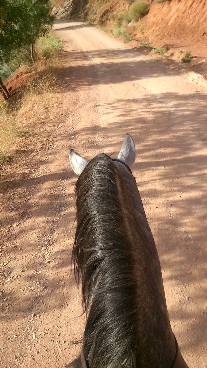 XaXeForever's tweet photo. Esto si qe son unos buenos dias en condiciones #buenamaňana #furiainaction #porfin http://t.co/W3YC5wfZUA
