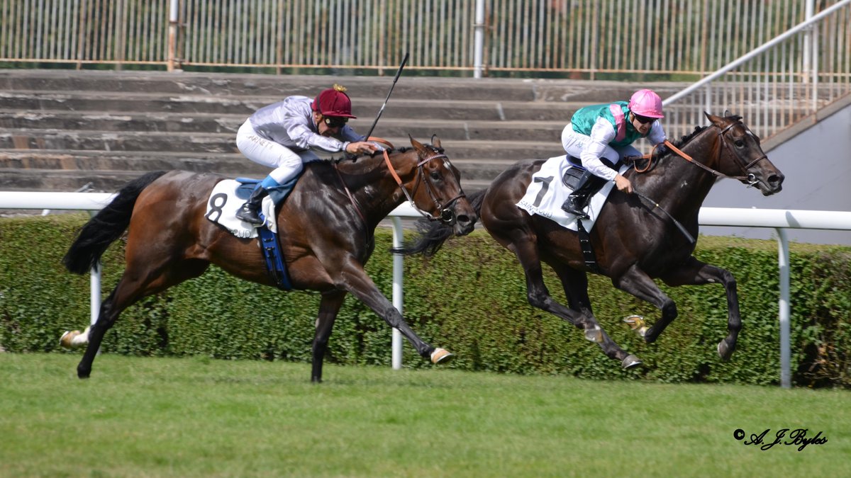 Treve – Grand Prix De Saint-Cloud 2015