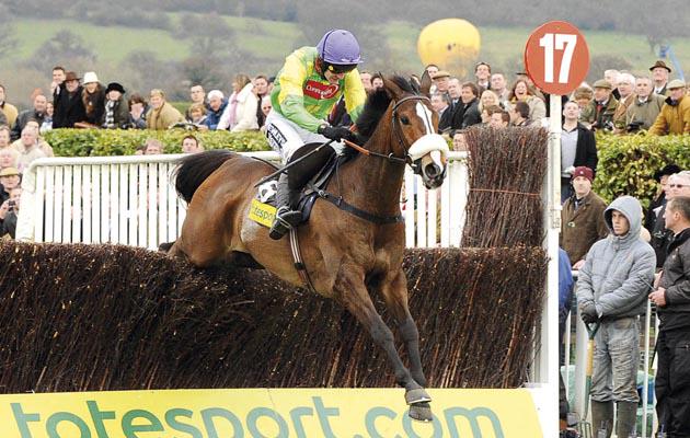 Horse & Hound tweet media