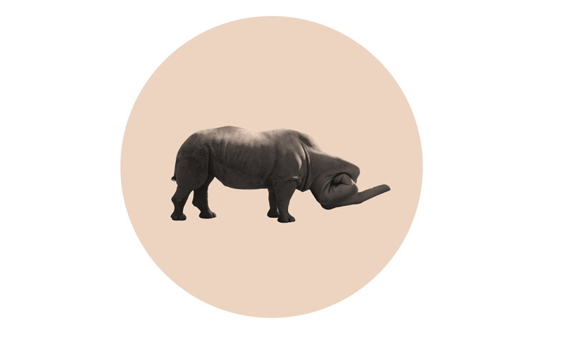PiramidonCentre's tweet photo. #PiramidonTuesdays amb #DiegoMallo, artista resident a @LaEscocesaBCN http://t.co/eUMdQ8wZ4h #illustration #art #Bcn http://t.co/esXE0bZLHG