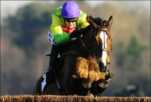 Kauto Star Legend tweet media