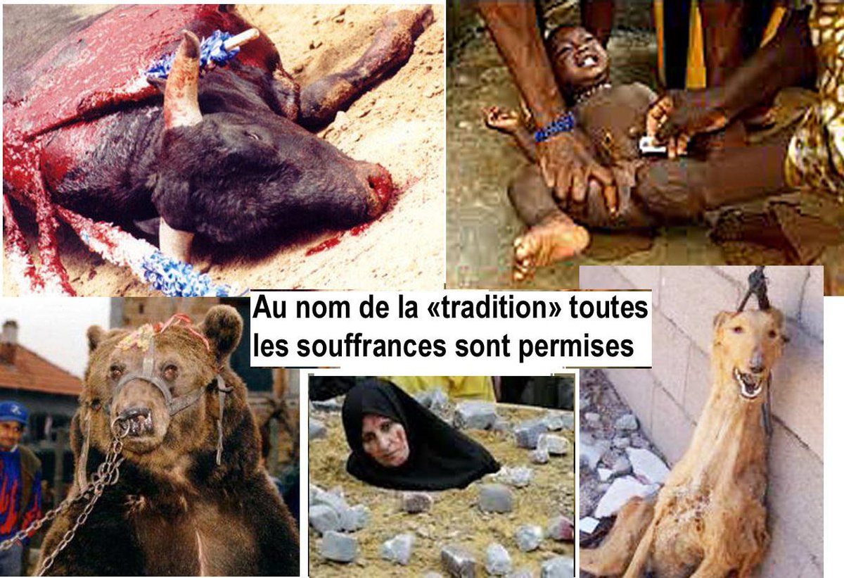AthosYorkshire's tweet photo. @Fredbouba @courtoisperisse  Au nom de la "tradition" toutes les souffrances, toutes les atrocités sont permises. http://t.co/JVN9x92oPZ