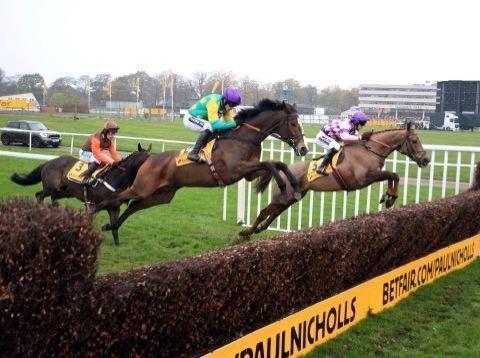 Paul Nicholls OBE tweet media