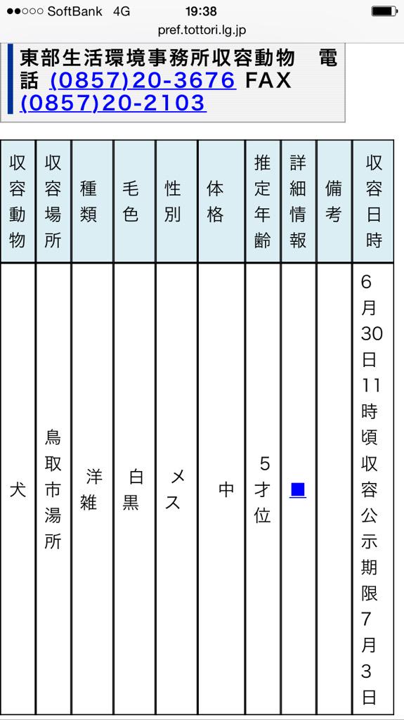 doubutukyushutu's tweet photo. 拡散RT @kei1966smile 【#鳥取県 東部】6/30 11時頃  #鳥取市 湯所 
5歳位 ♀ 白黒 洋雑 首輪なし
※7/3公示期限
飼い主様早くお迎えに行ってあげてください！
#保健所 #迷い犬 #緊急 #拡散希望 http://t.co/OrPXr4H2SV