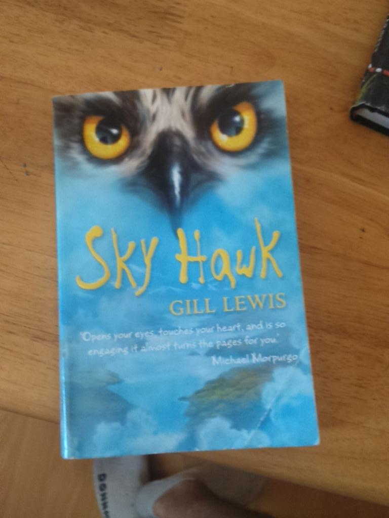 Dan13078667's tweet photo. That last chapter nearly had me going! Was an interesting read :) @Mat_at_Brookes @gill_lewis http://t.co/aScotJ8PRE