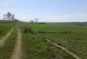 propertysansar's tweet photo. 1000 sq ft residential land for sell in Haldwani, Uttarakhand. Call 📞 at 9536761555 http://t.co/eNgGjm2S16