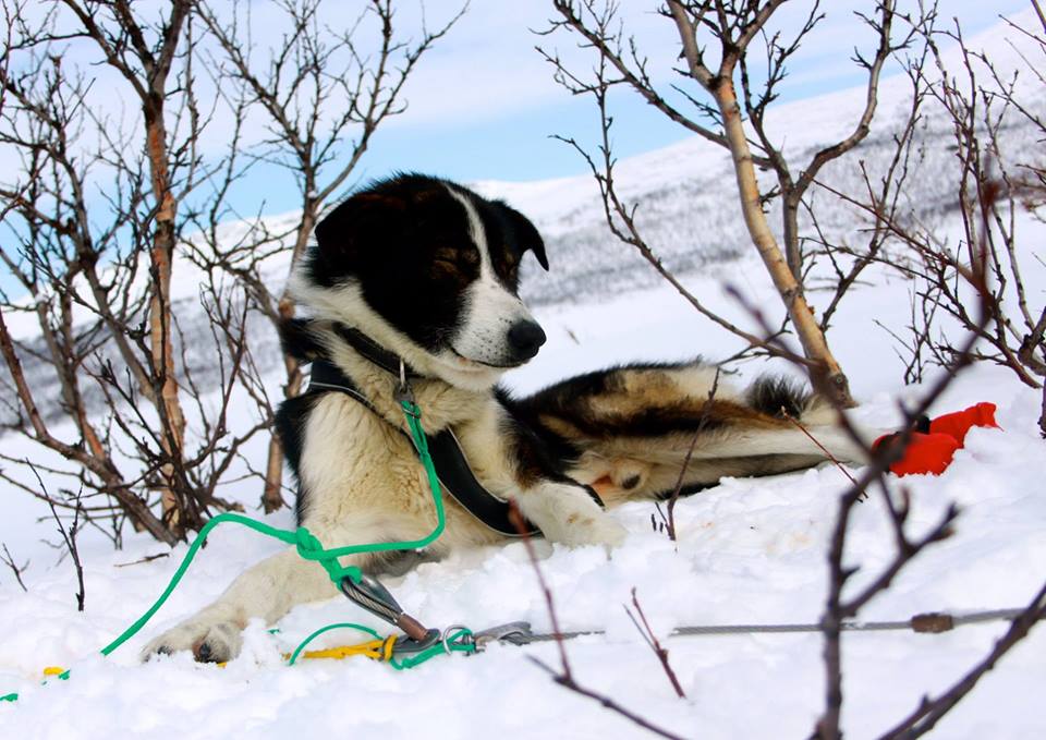 Wildernesscenter tweet media