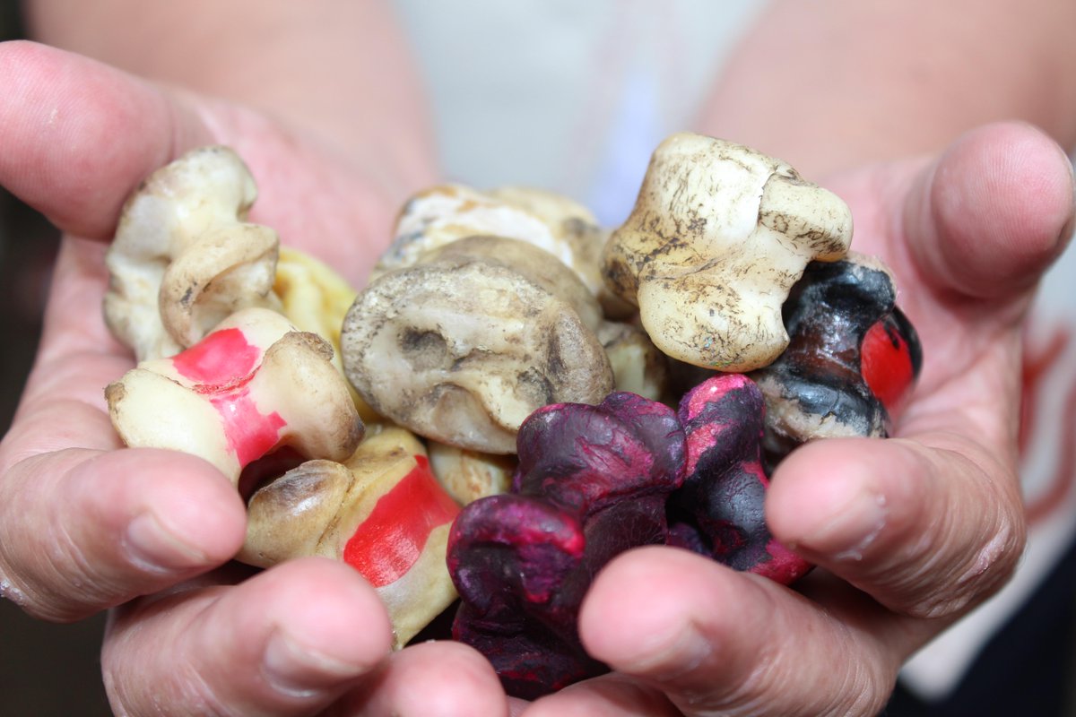 Асыки игра. Асык. Асык казахская национальная. Асыки игра. Асыки игра.