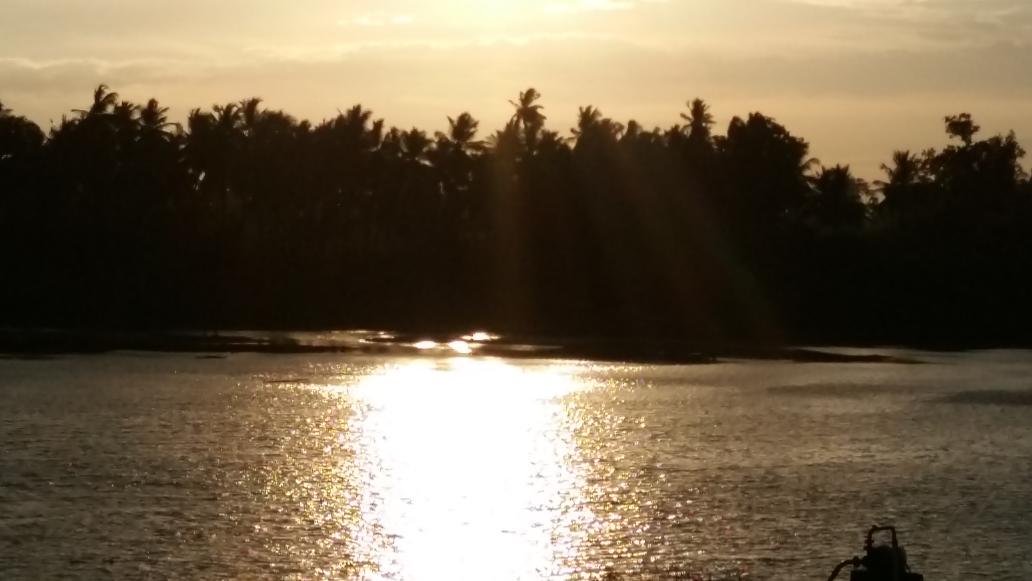 abilogesh's tweet image. Good evening