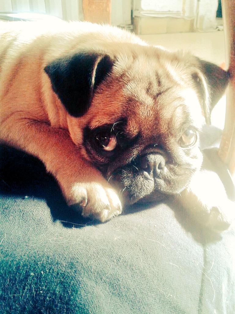 Extraño a Mara.., image size:768x1024