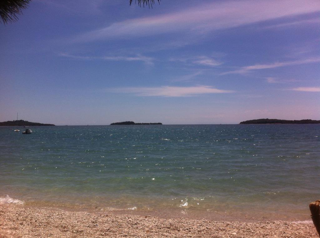 MalnarMeri's tweet image. Summer&amp;lt;3