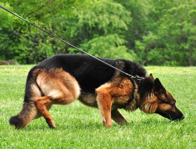 thelienzone's tweet image. On the hunt for #Florida #ConstructionForms? You just found them. bit.ly/1NbNunD