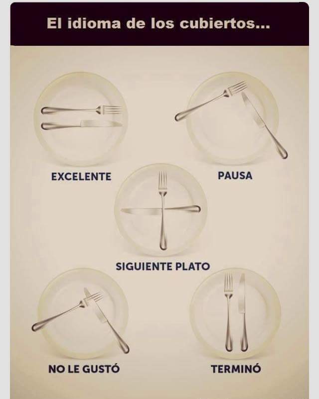 Gran idioma!!#cenaconencanto#cenasdemartes#idiomasdistintos