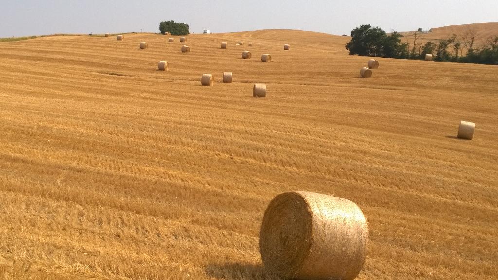 DNACulinario's tweet photo. Greetings from Tuscany http://t.co/vtEDHdkh36