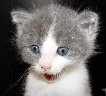 ScorpiusHyperM's tweet image. 