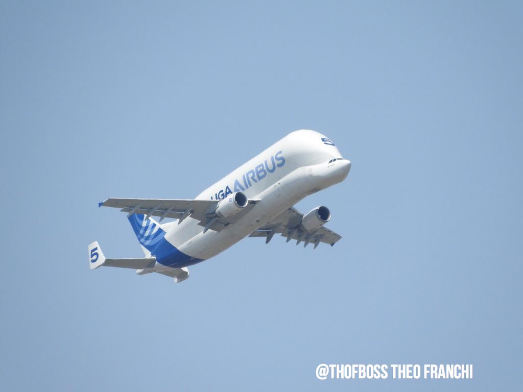 THOFBOSS's tweet photo. Airbus béluga 5 #FGSTF @scriptgirl13 @Airbus #AllThingsAirbus #avgeek http://t.co/PY5UcgHOWX
