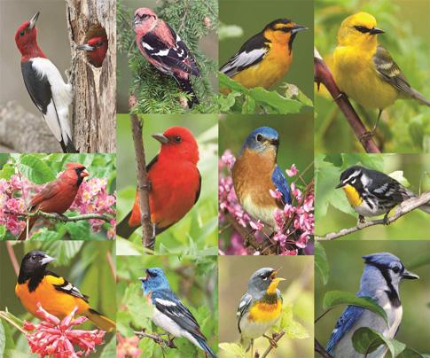 pharmathera's tweet image. #QUOIDENEUFMARDI - #CASSETÊTES POUR PERSONNES SOUFFRANT DE LA #MALADIEDALZHEIMER

pharmathera.com/cadeaux-maison…