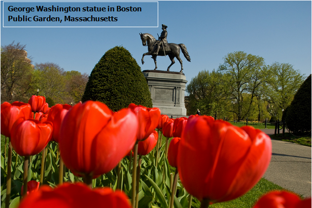 1st full day <a href="/The_RHS/">The RHS</a> #hamptoncourtflowershow! Find Massachusetts' garden transpiring views from Boston Public Garden