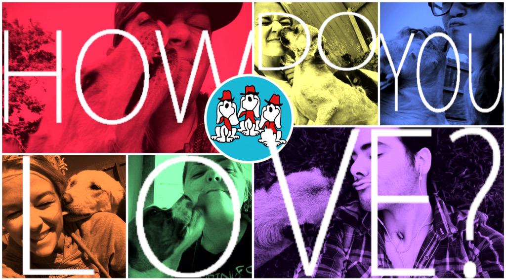dogdayranch's tweet photo. Celebrate the final day of #PrideMonth with us! Tweet a pic of your pup giving #unconditionallove. Use #HowDoYouLove! http://t.co/eE9Uy1Cq4n