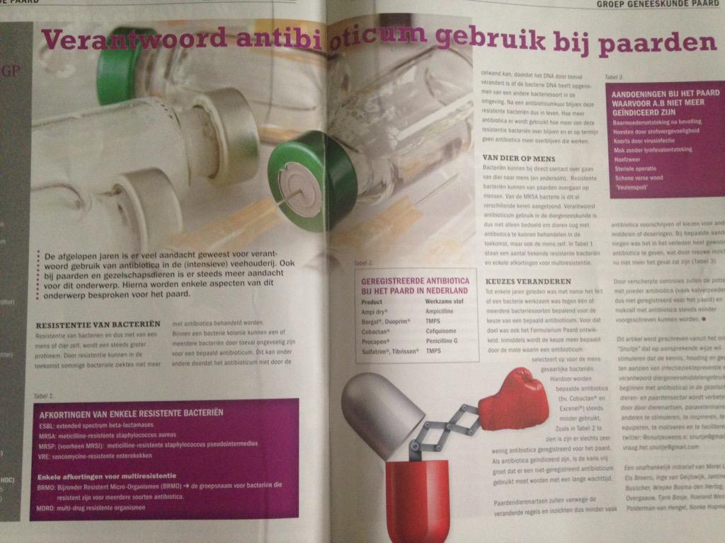 Mijn artikel in de hippische ondernemer! <a href="/Snuitjeswens/">Snuitje</a>