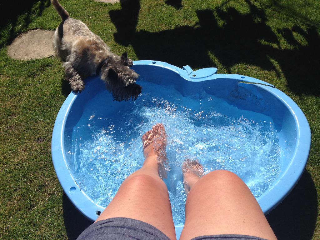 tracypriddey's tweet image. @tombiggs11 &amp;amp; @Heathstevens1 the lido was packed couldn't get in 😭thought I'd use next best thing #dogspool