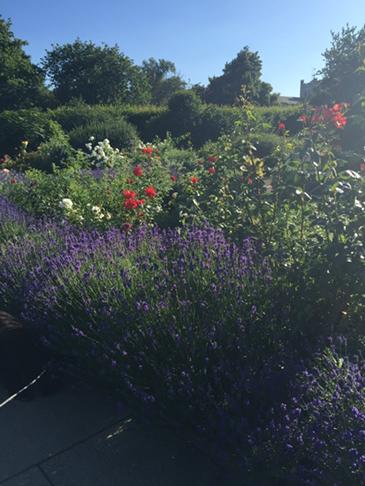 Sarah Laws tweet media