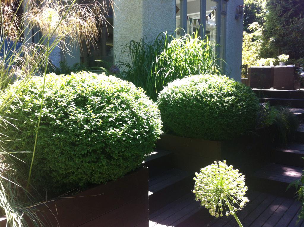 JulieJKT's tweet photo. Few pics of my bush http://t.co/nesUL2QeOW