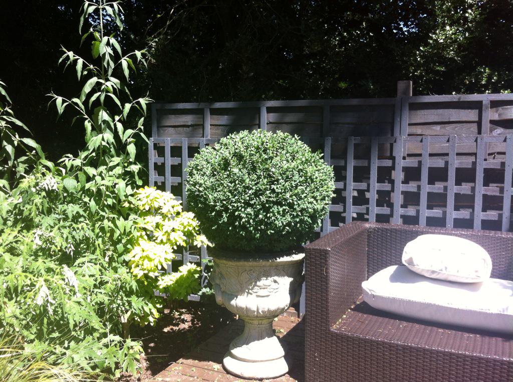 JulieJKT's tweet photo. Few pics of my bush http://t.co/nesUL2QeOW