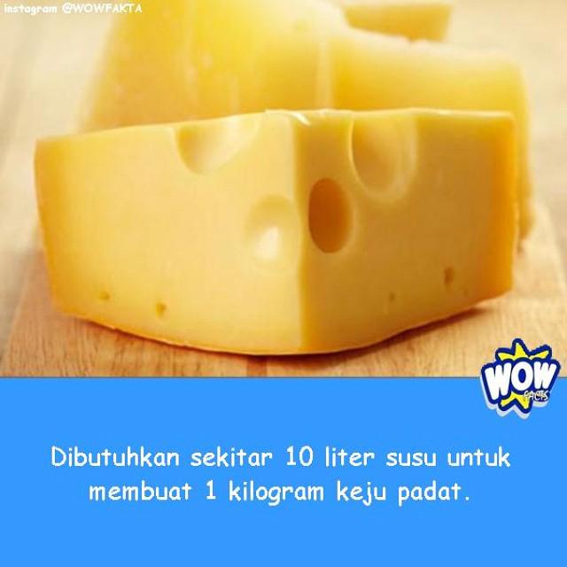 Faktagram hari ini adalah #tahukahkamu #tahukahanda #wowfakta #fakta #faktanya #wow via <a href="/WOWFAKTA_IG/">INSTAGRAM WOWFAKTA</a>