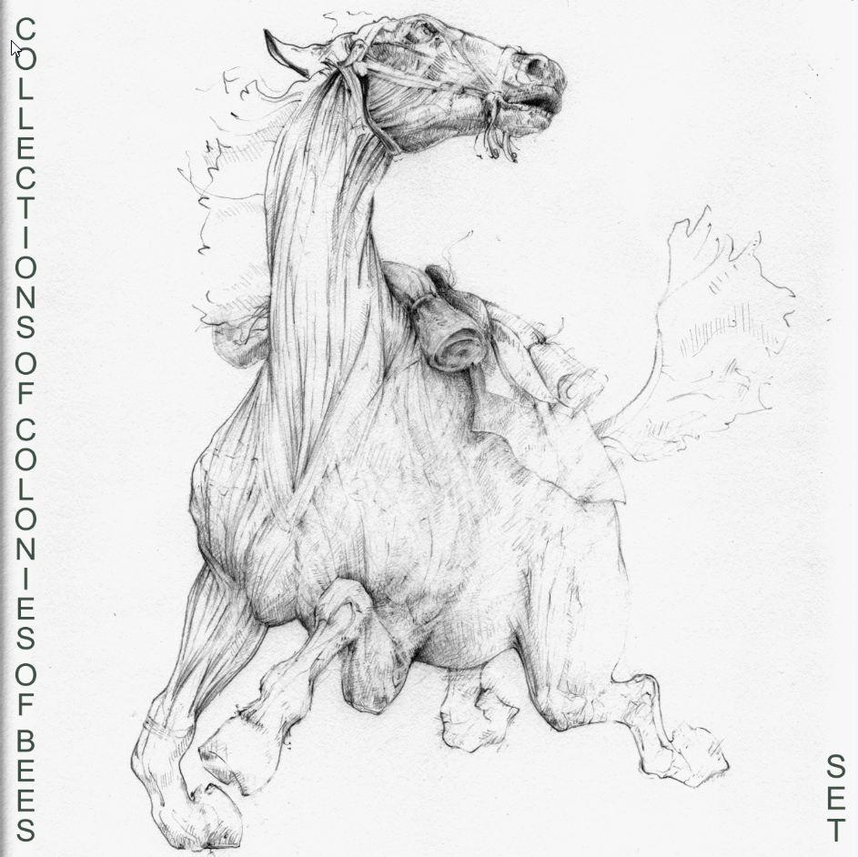 COCOB Band Milwaukee tweet media