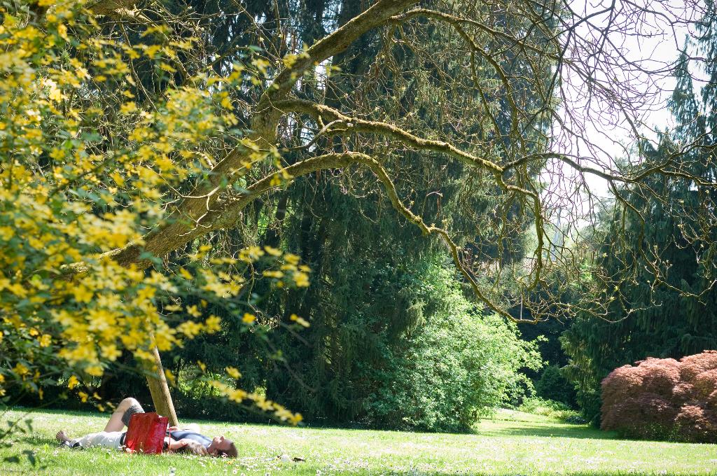 Ein paar Empfehlungen für die kommenden, heissen und sonnigen Tage :-)
freizeitblog.baden.ch/outdoor-guide-…