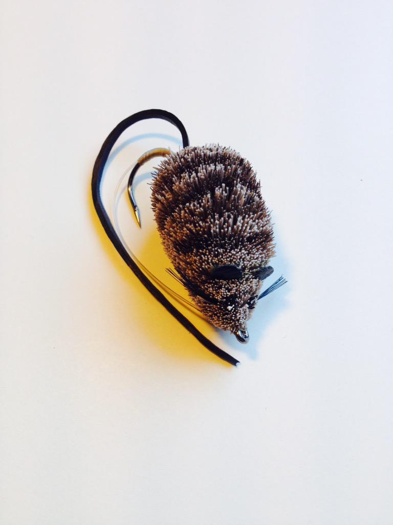 used to catch trout that lie in wait for migrating mice...the latest addition to my cabinet of curiosities