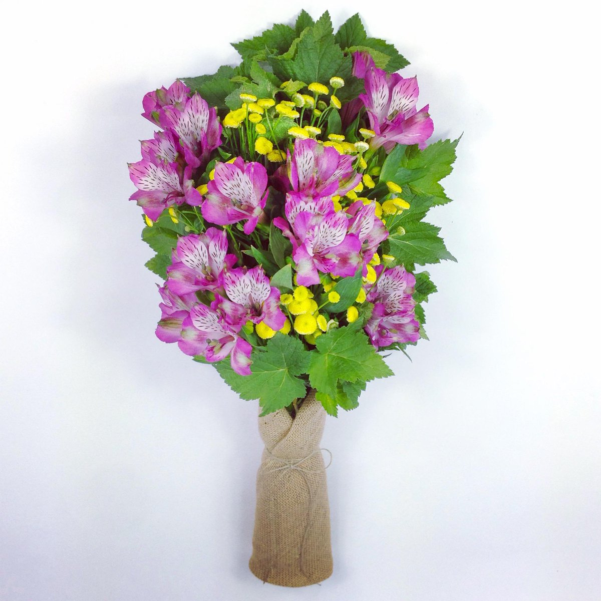 Bouquet tweet media