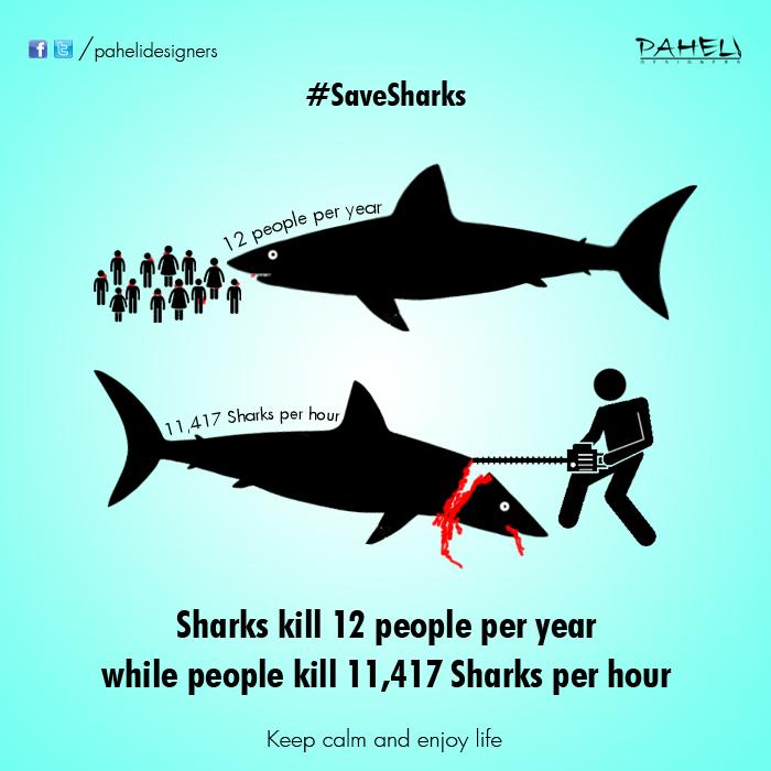 Pahelidesigners's tweet photo. Sharks kill 12 people per year while people kill 11,417 sharks per hour.
#Sharks #Shark #Human #life #save #Killing http://t.co/qToiKaMglD