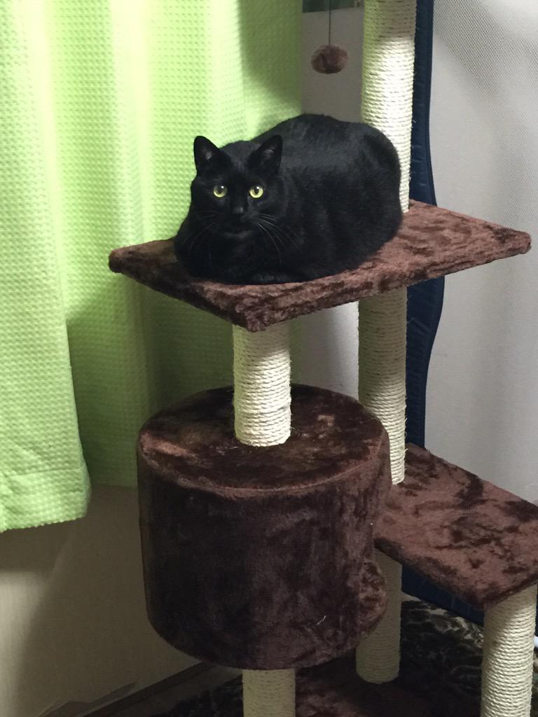 遠藤 和美 Xablackcx Twitter