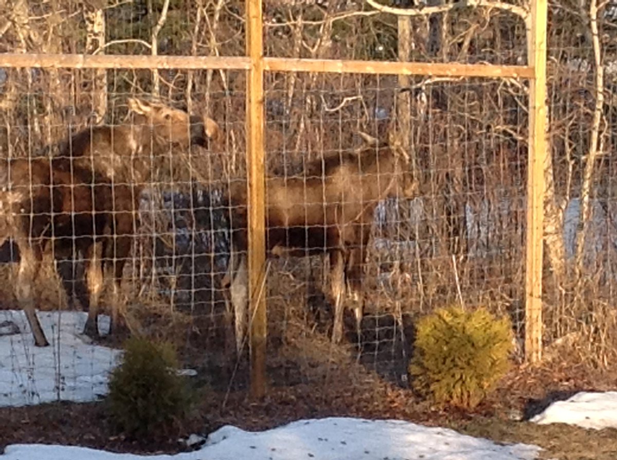 A tongue in cheek look at some of the #BedandBreakfast guest observations in the SBFF Blog. ow.ly/OXOMu