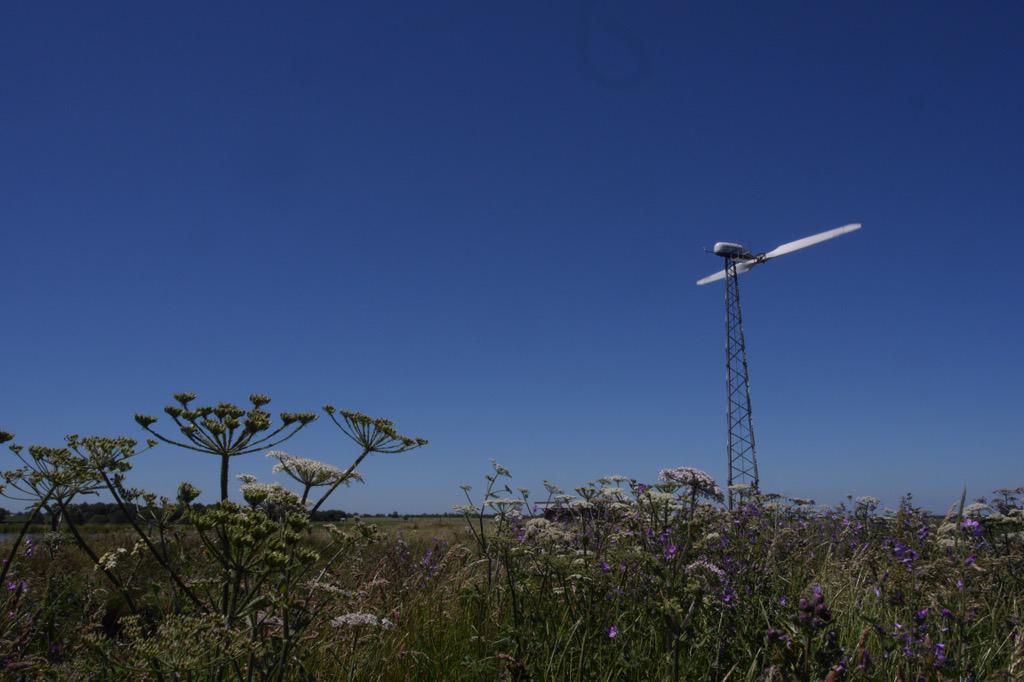 HistoryNeedsYou's tweet photo. Learn how #Fenland has been changed by Wind, Steam, Diesel and Electricity at #OuseFest - see > @ousewasheslp http://t.co/gmFN8he6dp