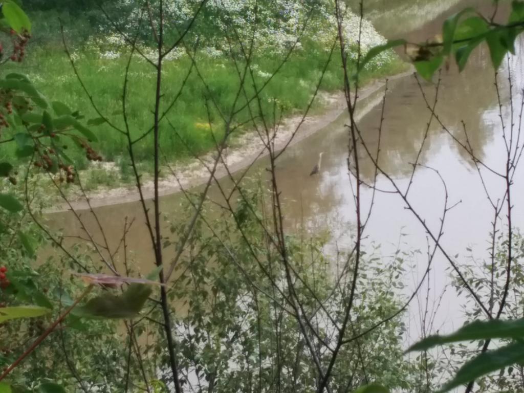 laura_dougan73's tweet image. #hubtrail #24km #heron @ fort creek
The best part is we beat the rain!