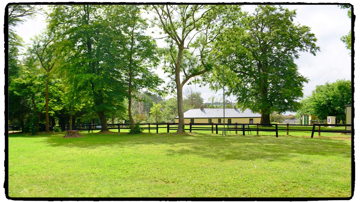 FotaCamp's tweet image. The Avenue Camp Site at FOTA if you listen hard enough you will here the monkeys . @sicampnetwork