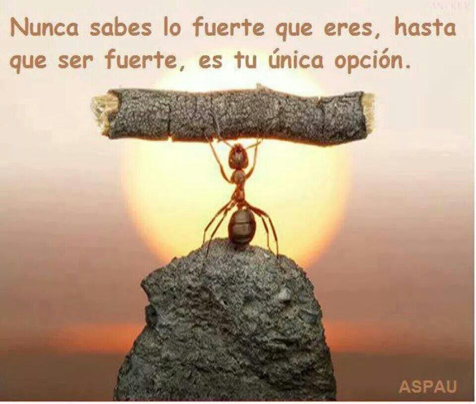 https://pbs.twimg.com/media/CIx2ASbWEAAZh1L.jpg