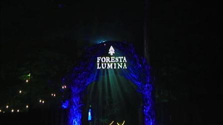 La formule améliorée de Foresta Lumina attire les foules tvanouvelles.ca/lcn/infos/regi…