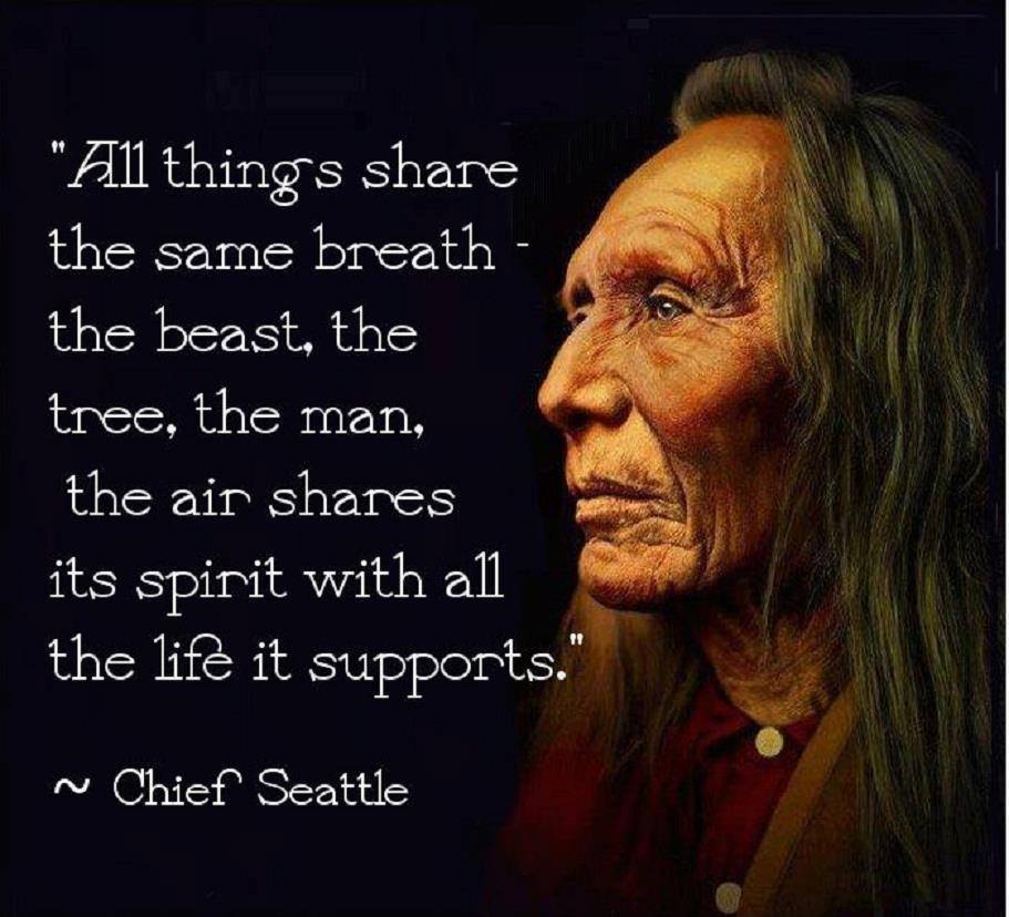 Talk2theAnimals's tweet photo. We All Do Better When ALL Creatures Do Better ~ and so it is. #Talk2theAnimals http://t.co/HGBrq5jTBX