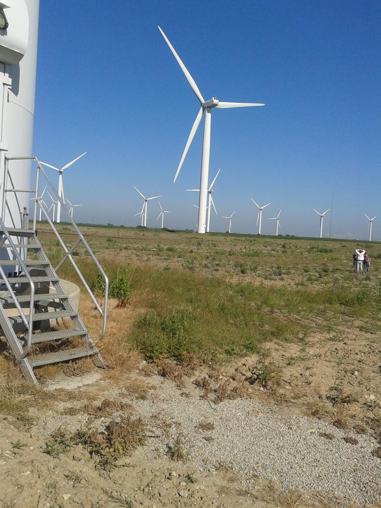 Another plant surveying day organised this time - on private farmland around windfarm, Romney Marsh. <a href="/BSBIbotany/">BSBI: Botanical Society of Britain & Ireland</a>