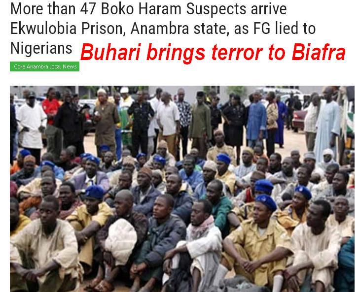 Amaka_Ekwo's tweet photo. @S_Hammond Buhari of #Nigeria starts to Islamise Biafrans; relocates high risk #Boko-Haram prisoners to #Biafra. http://t.co/Q8pZOJ5fWc