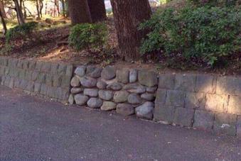 LegendaryLeaTV's tweet image. Years of gaming have taught me there is something behind this wall.