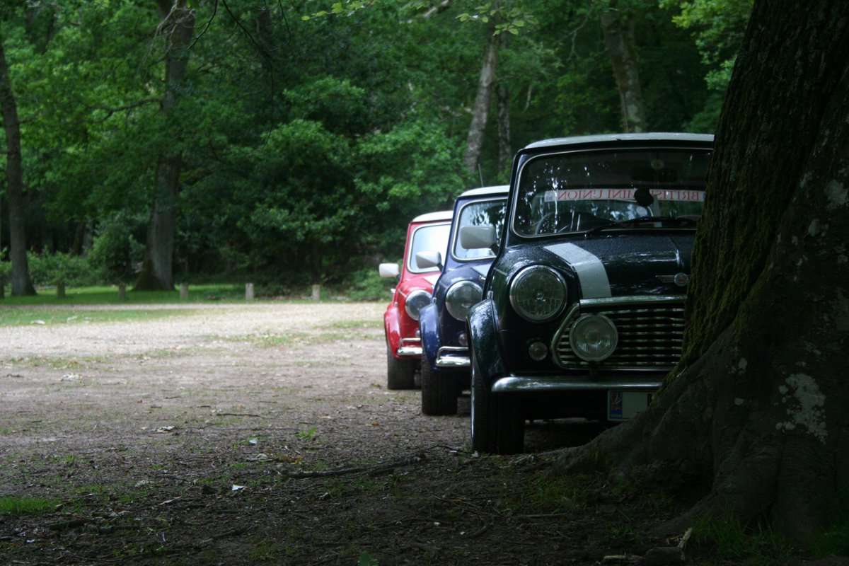 MiniUnion tweet picture