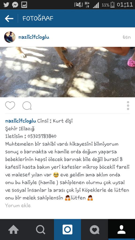 Çok acil YUVA  @dundaragirseven <a href="/eldohayder/">ElazığHayvanseverler</a> <a href="/esraca/">AYSESRA♋</a> <a href="/sosyopet/">sosyopet</a> <a href="/Hayvist1/">HAYVİST</a> <a href="/sokakhayvanlari/">Sokak Hayvanları</a> @hayvansevergazetesi