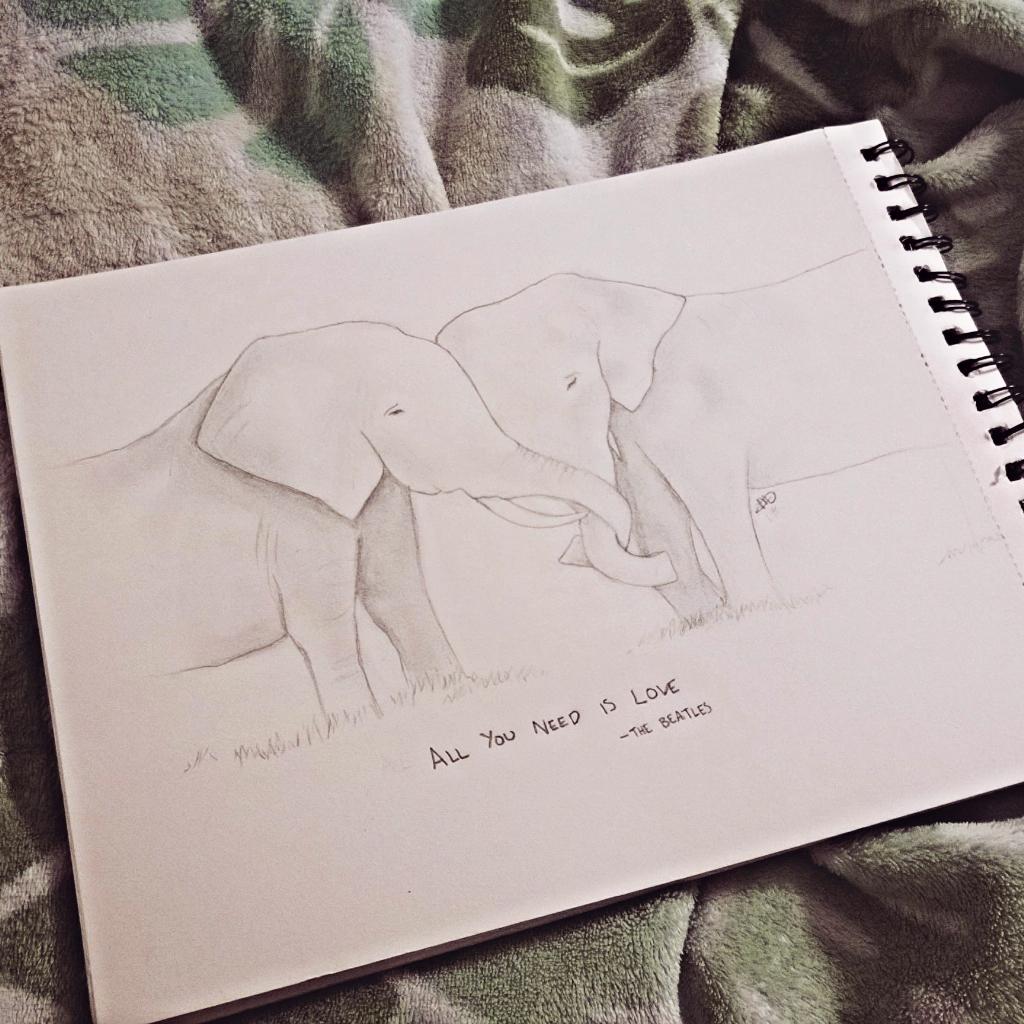 marinamiddles's tweet photo. Elephants need love too🐘 @shopivoryella http://t.co/IlAzacNESi