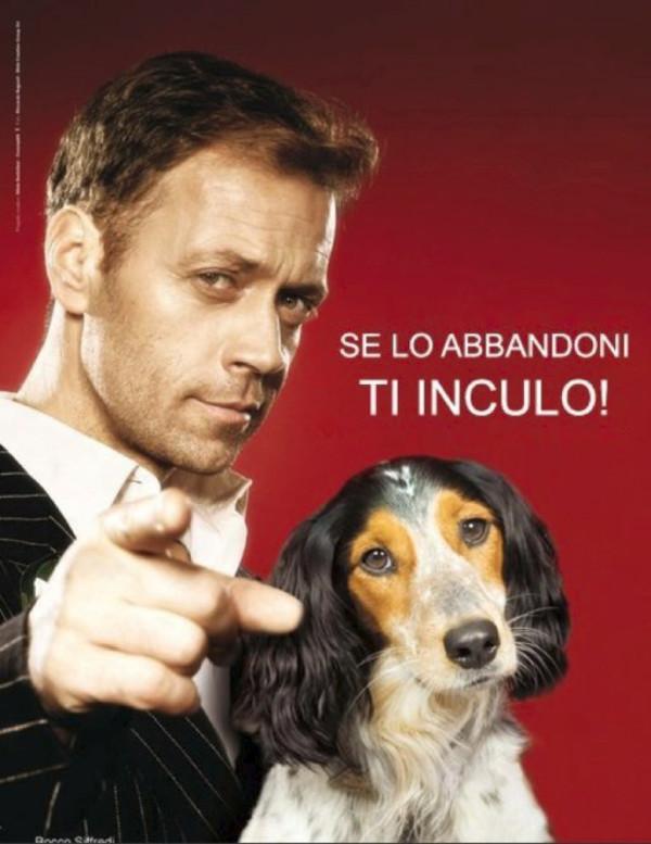 FredTestot's tweet photo. Si tu l'abandonnes, je t'encule ! #abandon #RoccoSiffredi #SPA #chien#superbe http://t.co/QZoswlr3b0